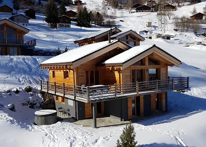 Aramis Domek alpejski La Tzoumaz